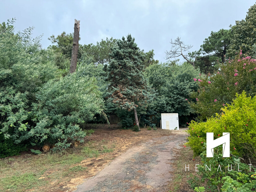 Terrain Rivedoux Plage 785 m2