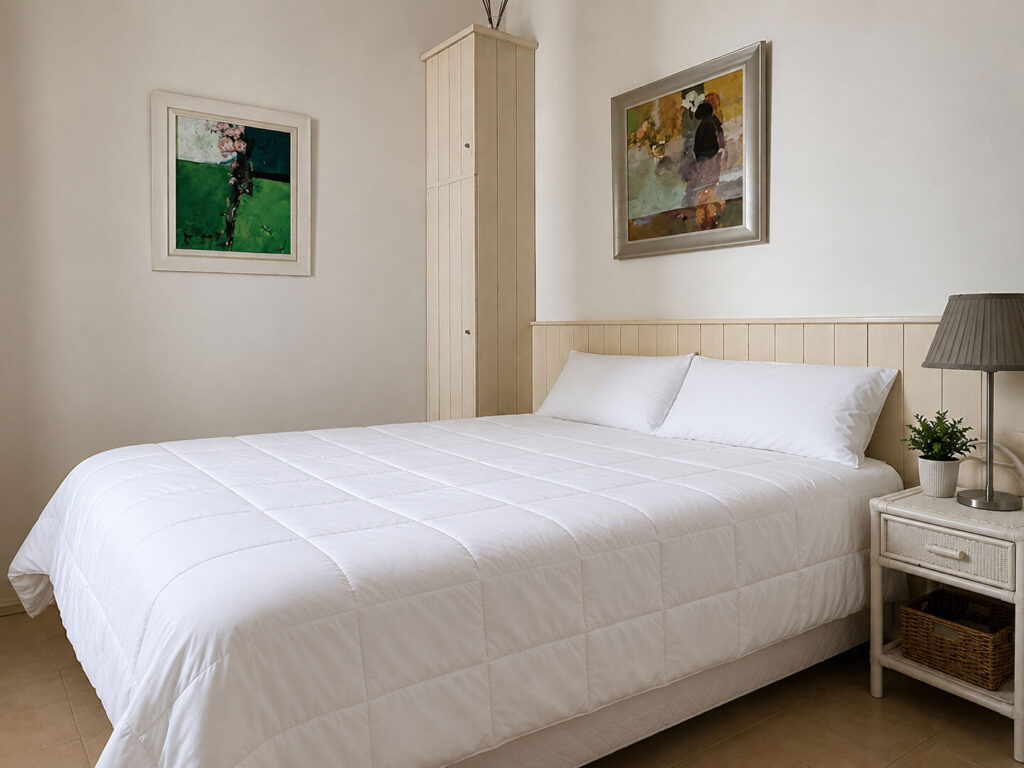 Maison Sainte Marie De Re 3 pièce(s) 52 m2