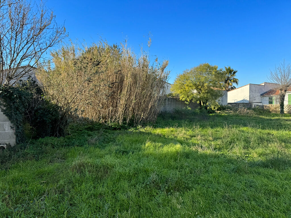 Terrain  441 m2